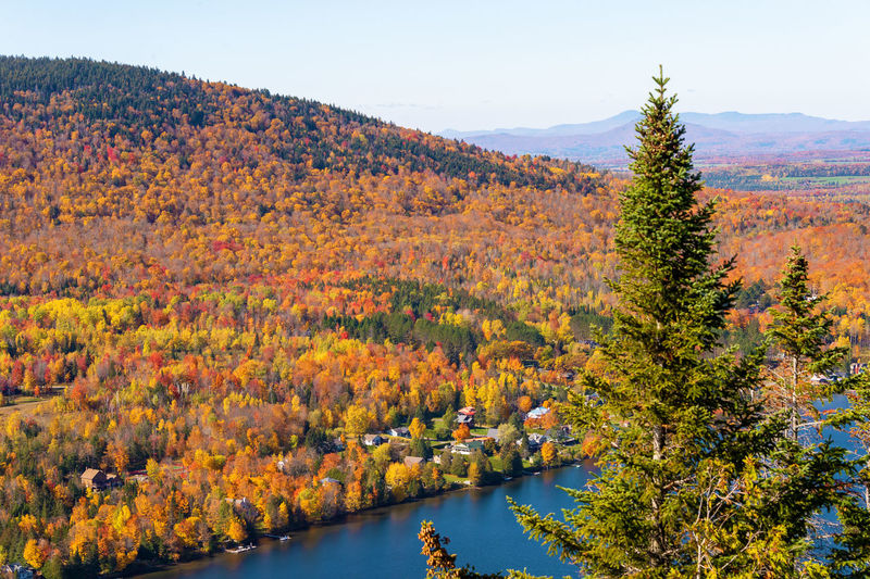 Scenic view of lake by trees during autumn