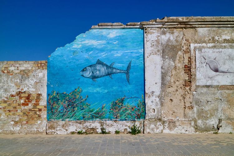 Old wall of old building with painted fish