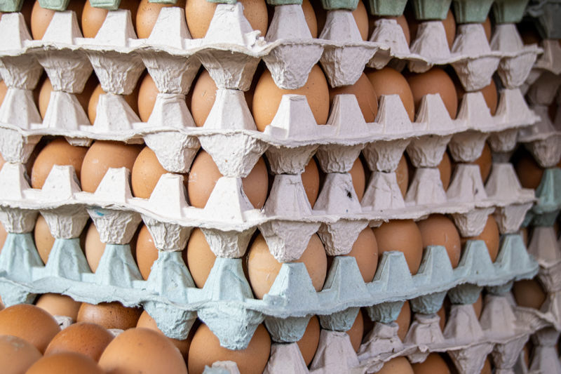 Cartons of eggs for sale
