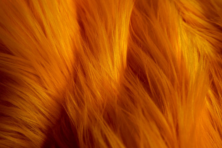 Full frame shot of orange leaf