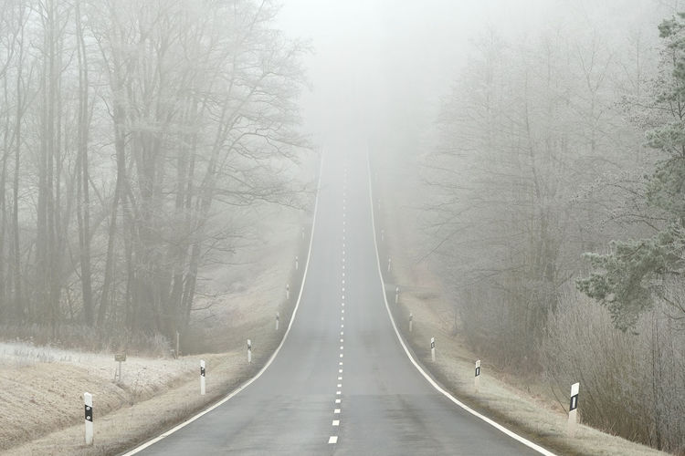 Driving on  foggy day on a curved empty steep road. hoarfrost trees, forest and misty background.