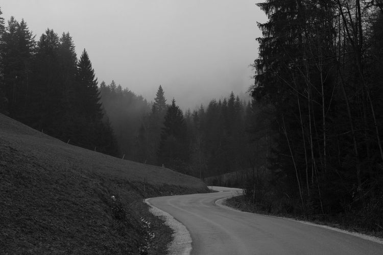 Empty road amidst trees against sky