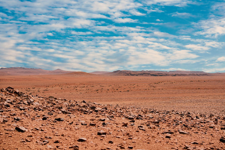 Stone desert in namibia africa etosha national park