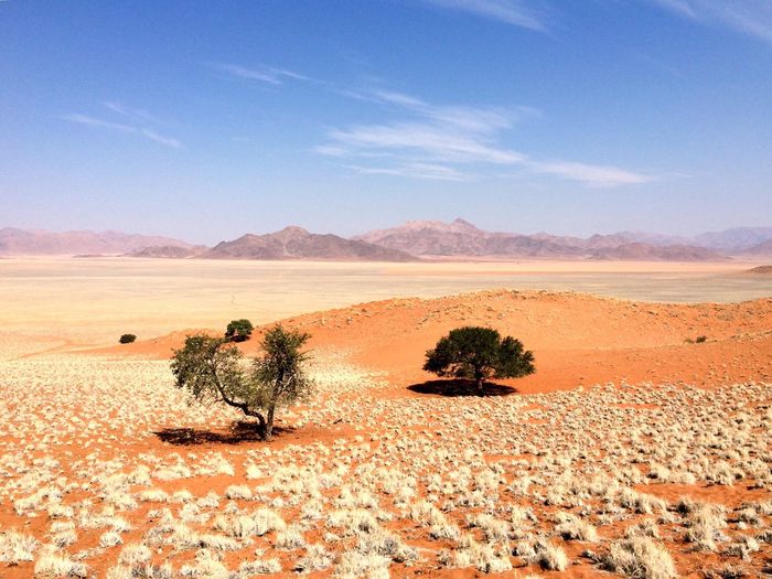 Scenic view of arid landscape against blue sky at namib-naukluft national park