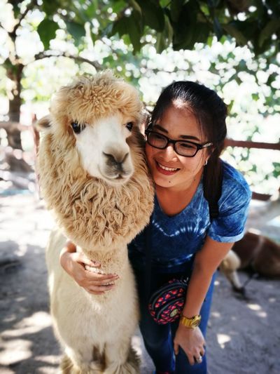 Young smiling woman with alpaca under tree