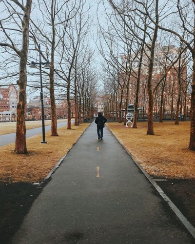 Rear view of man walking on road amidst bare trees
