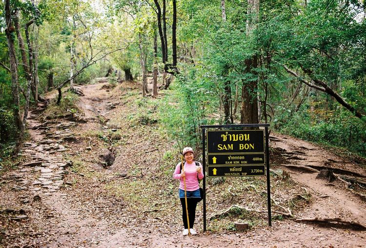 Rear view of woman walking in forest