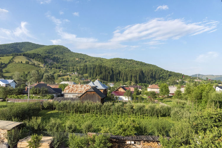 Beautiful countryside in romania, farms and old wooden houses with gardens. cabins and barns. 
