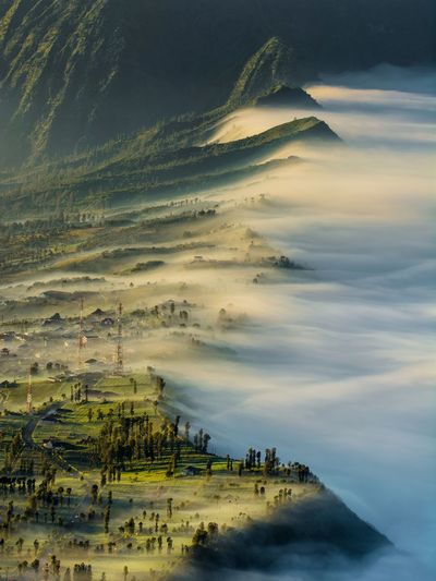 Scenic view of landscape