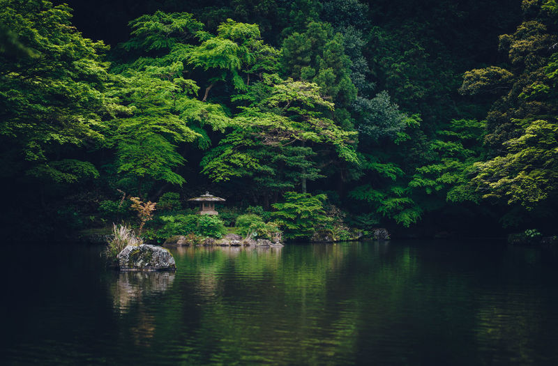 Verdant trees embrace a serene pond with a small shrine on the shore.