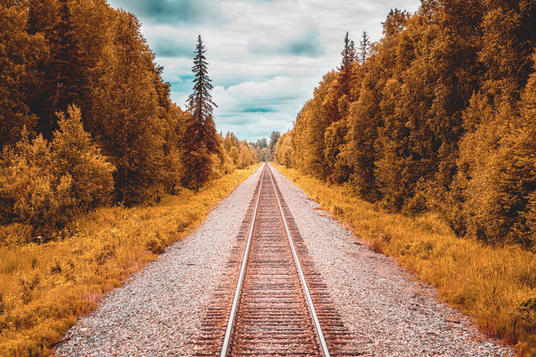 Railroad tracks amidst trees against sky during autumn