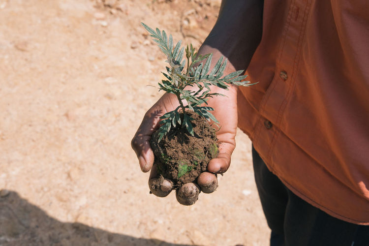 Midsection of man holding plant
