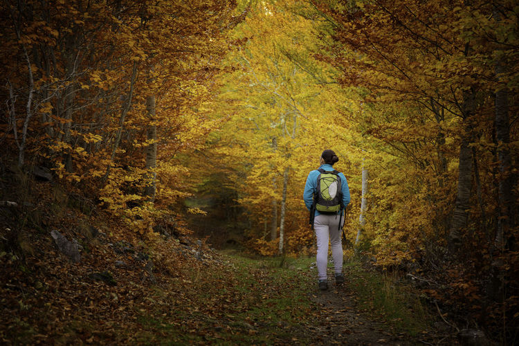 Woman hiking in a beautiful autumn forest