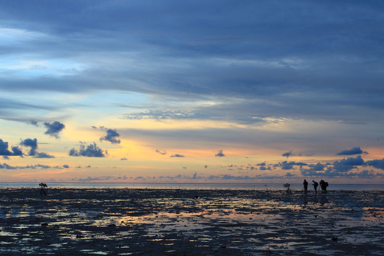 Silhouette of three photographers capturing sunset at raja island, central maluku, indonesia