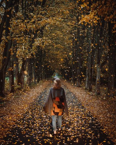 Autumn leaves falling on woman standing amidst trees at park