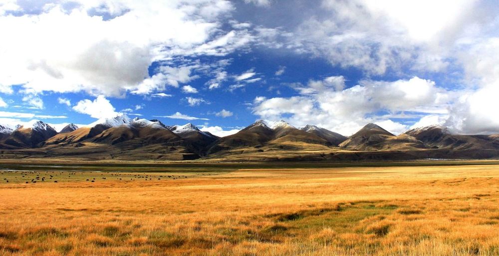 View of landscape against cloudy sky