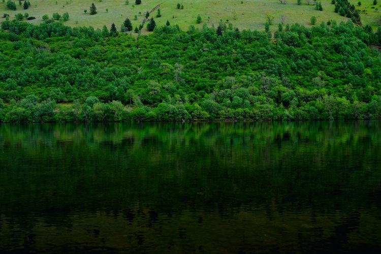 Scenic view of lake