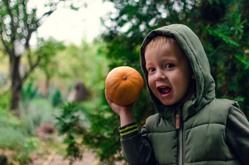 Little boy holds a pumpkin in his arm. harvesting and preparing for the halloween. 