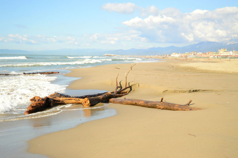 Driftwood at sandy beach against sky