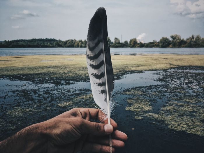 Cropped hand holding feather by lake against sky