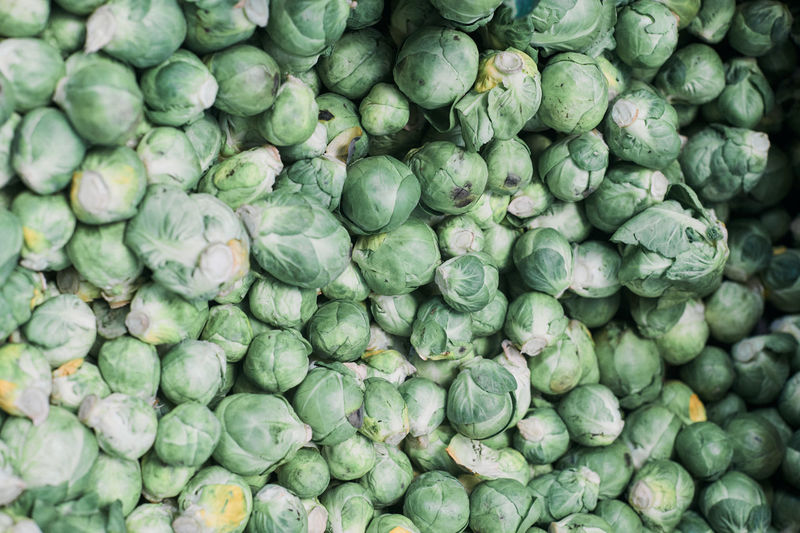 Sprouts at farmers market