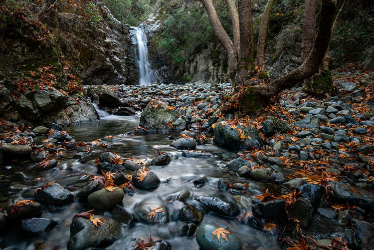 Autumn landscape with waterfall splashing in the canyon and yellow autumn maple leaves in the ground