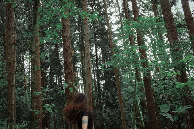 Young woman standing amidst trees in forest