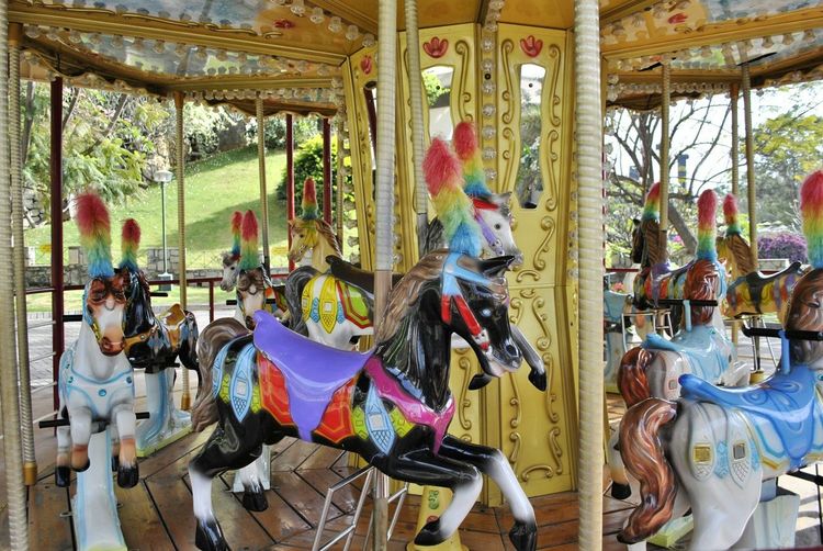 Close-up side view of merry-go-round