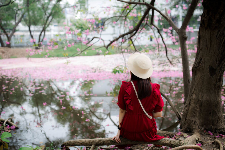 Woman standing by pink flowering tree