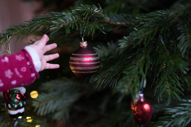 Cropped hand of child reaching bauble hanging on tree