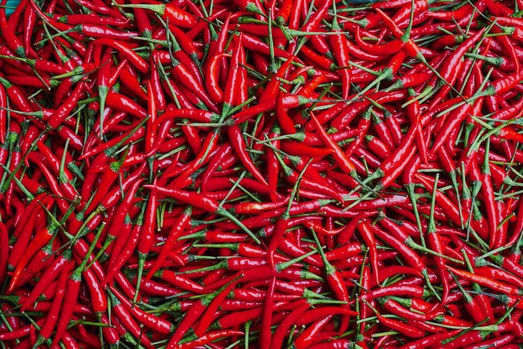 Red chili peppers in abundance