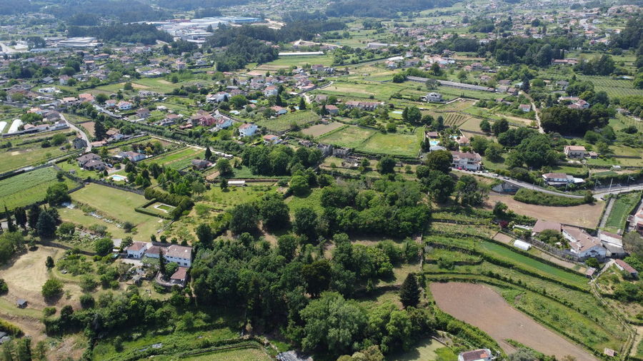 bird's-eye view