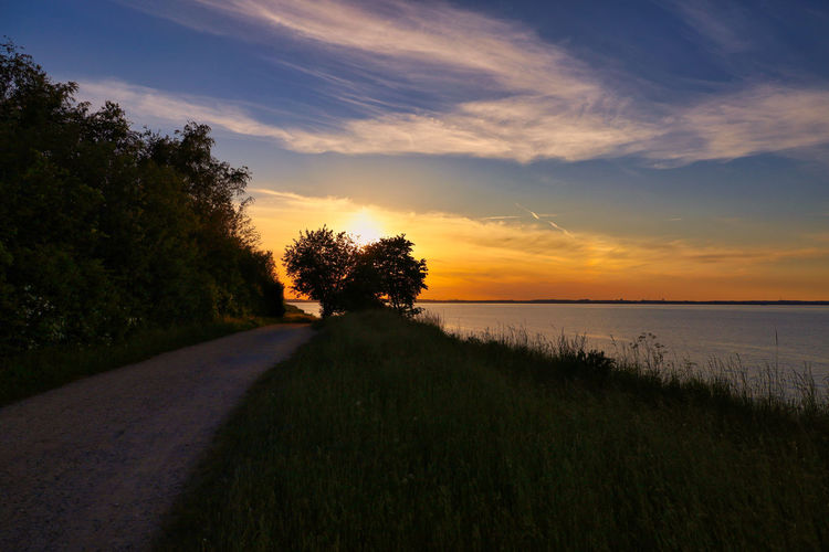 Scenic view of road by trees against sky during sunset