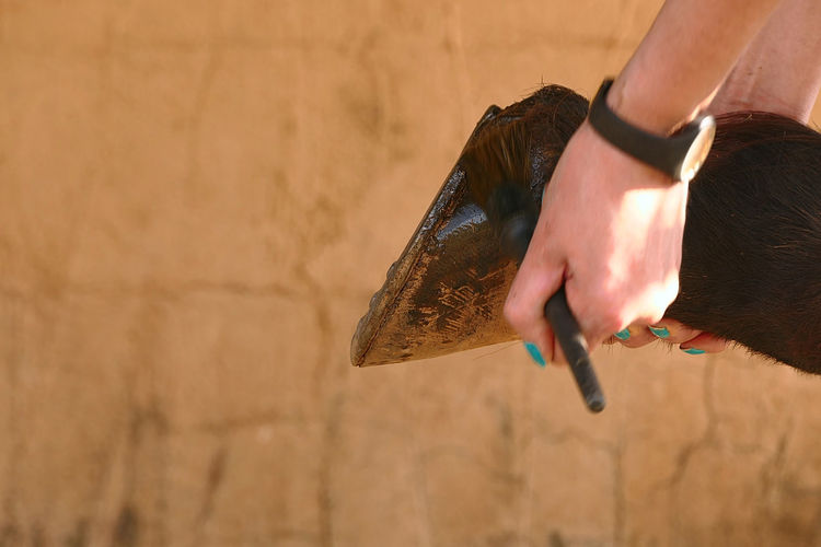 Cropped hand of woman brushing hoof outdoors