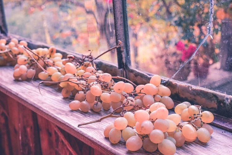 Bunches of ripe white grapes laying in front of the window