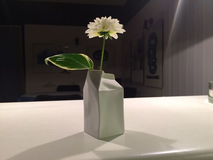 White flowers in vase at home