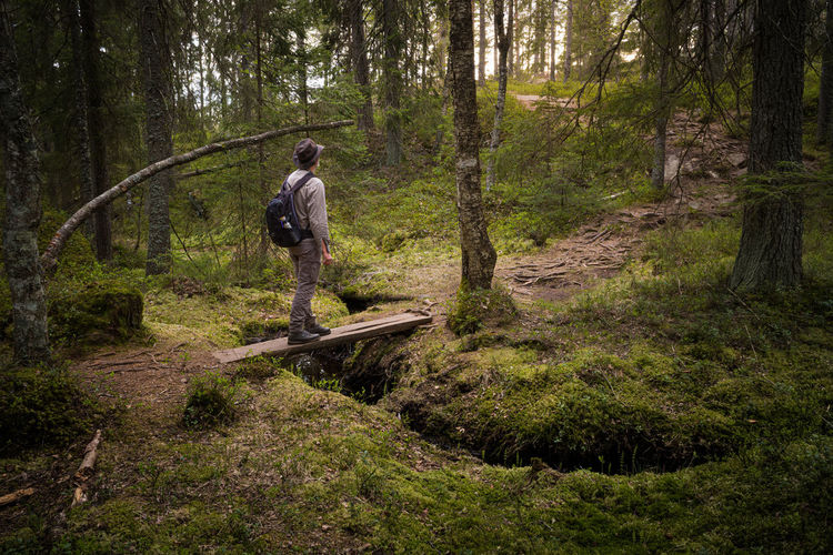 Man standing on footpath amidst trees in forest