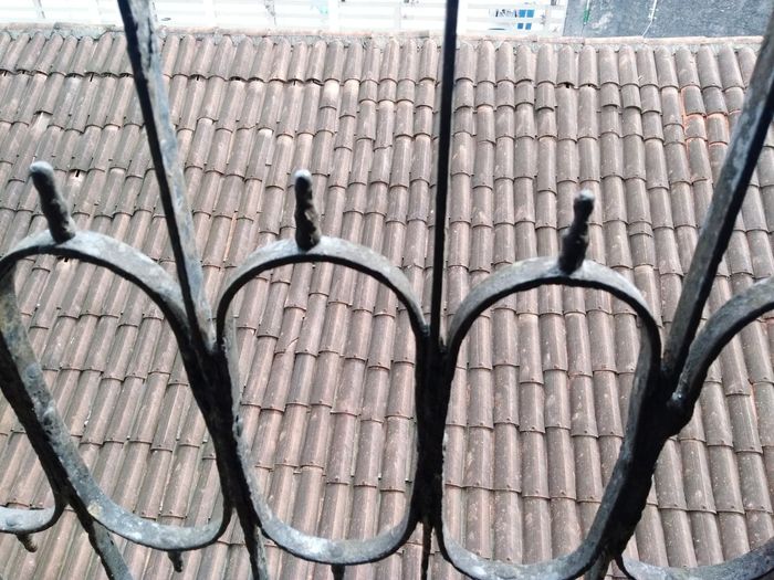 High angle view of bird on roof