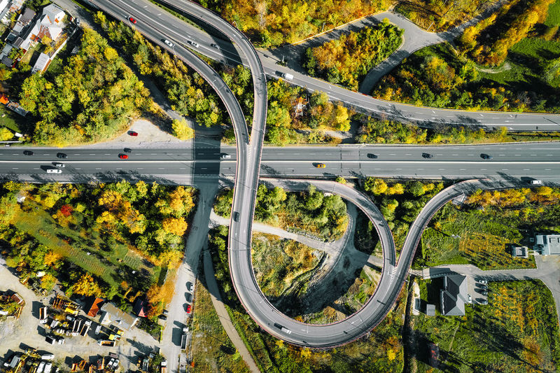 High angle view of trees