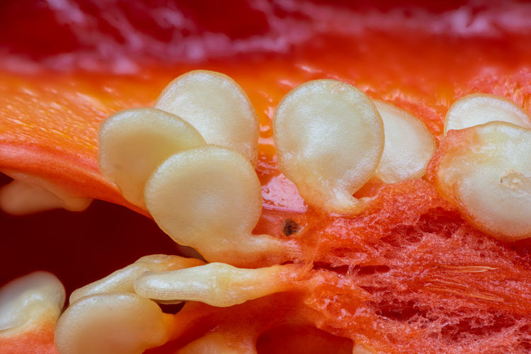 Full frame shot of fruit