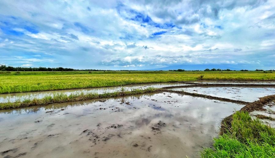 environment
