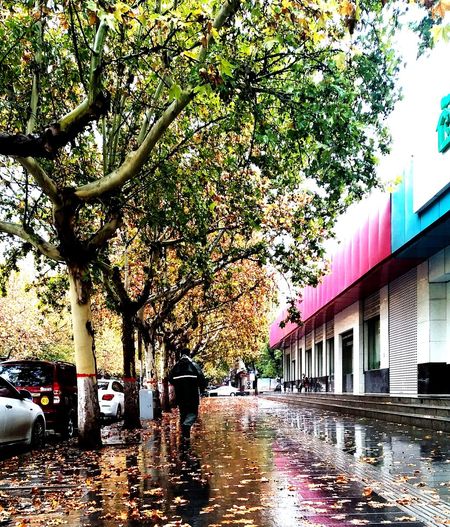 Wet street amidst trees in city during rainy season