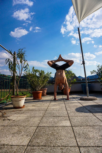 Rear view of man standing by potted plants against sky