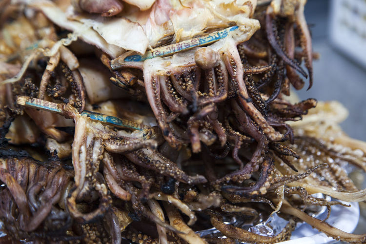 Close-up of dried squid
