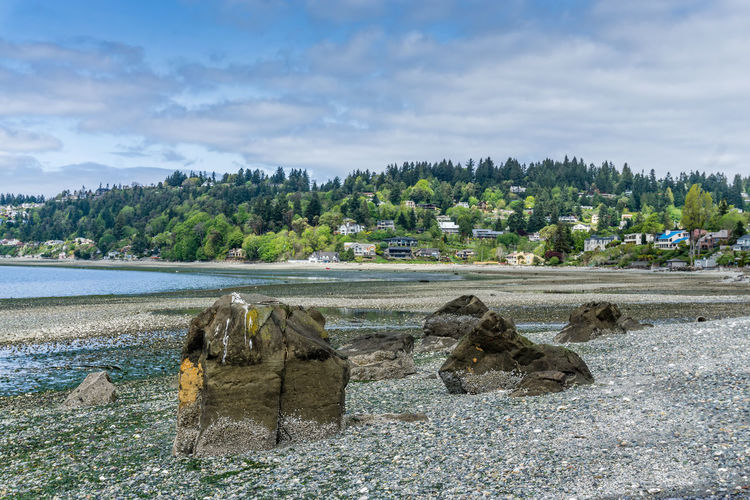 Scenic view of beach against sky