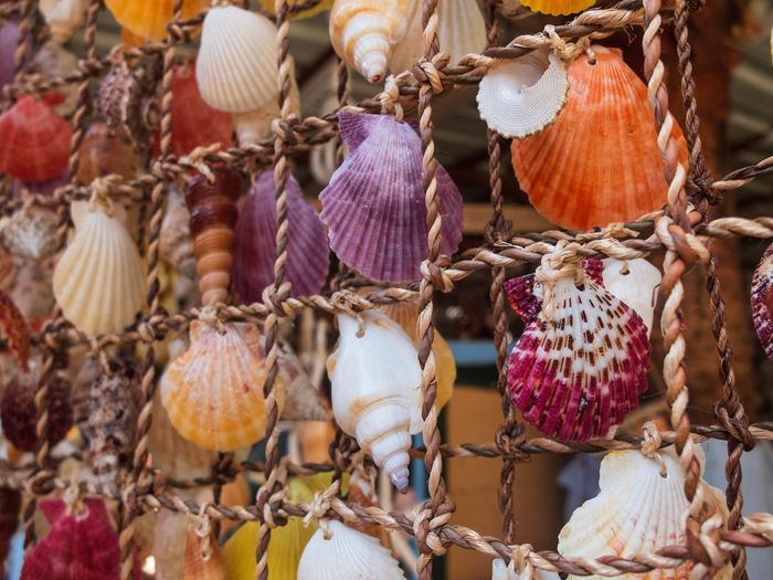 Close-up of shells for sale in market