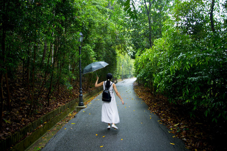 Rear view of woman holding umbrella while walking on walkway amidst trees