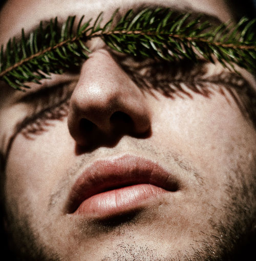 Close-up of young man with plant