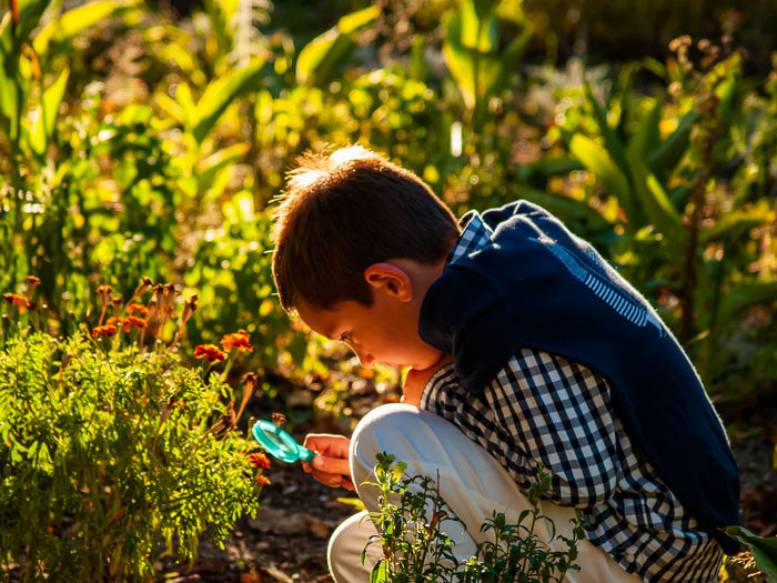 Side view of boy looking plant through magnifying glass in park