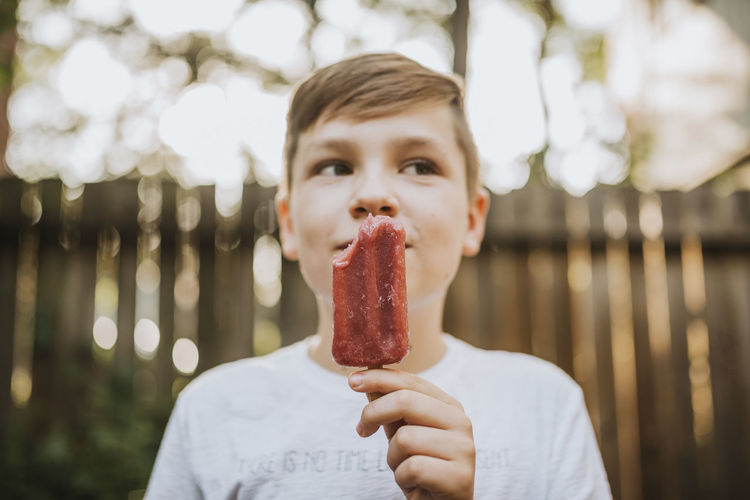 Close-up of boy holding popsicle while looking away at backyard during summer